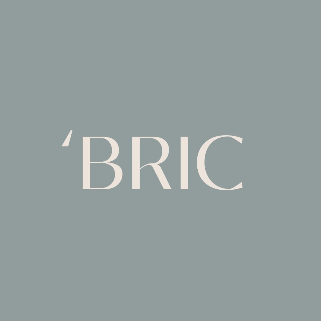 Bric Studio profile
